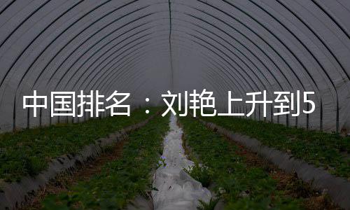 位 艳上一许赢也中国升到排名攀升刘刘依